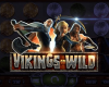 Vikings Go Wild